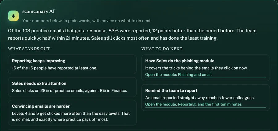 scamcanary AI: what stands out and what to do next